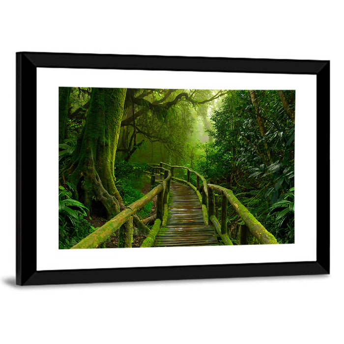 Misty Nepal Jungle Boardwalk Wall Art as a framed print