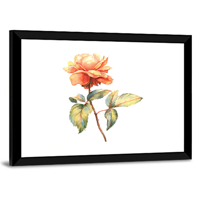 Orange Watercolor Rose Illustration Wall Art as a framed print