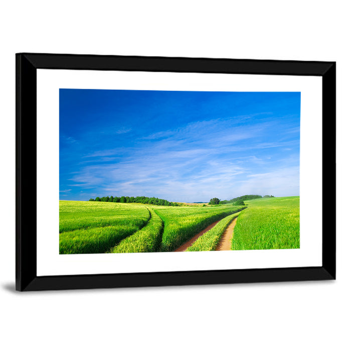 Summer Meadow with Dirt Path Wall Art as a framed print