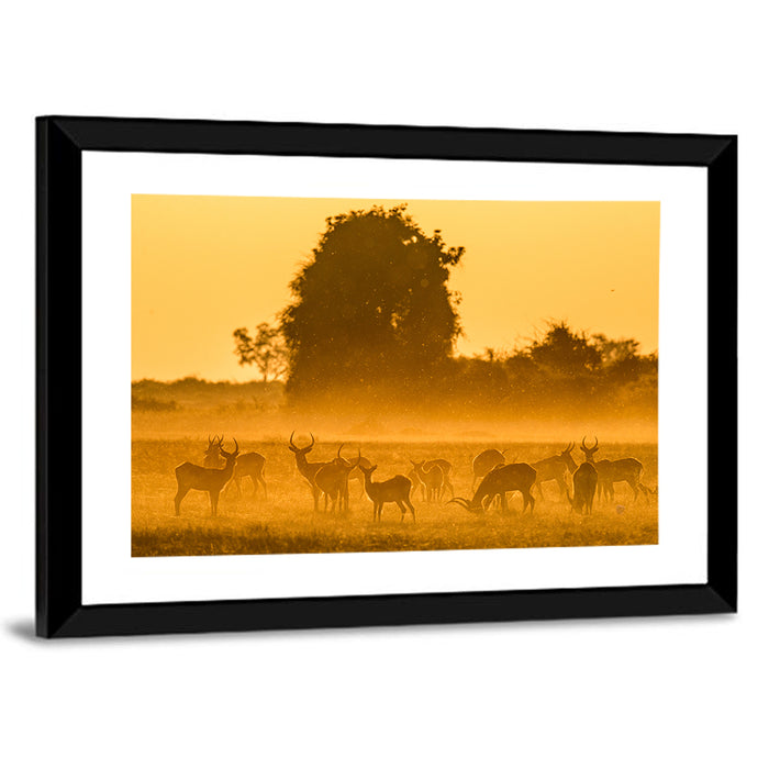 Antelope Herd at Golden Hour Wall Art as a framed print
