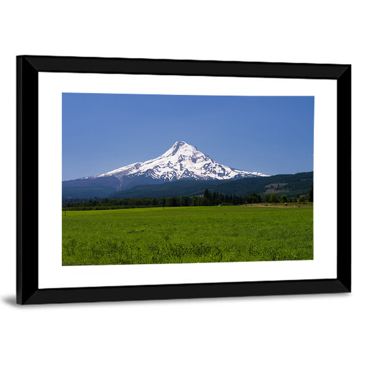 Mount Hood Meadow View Wall Art