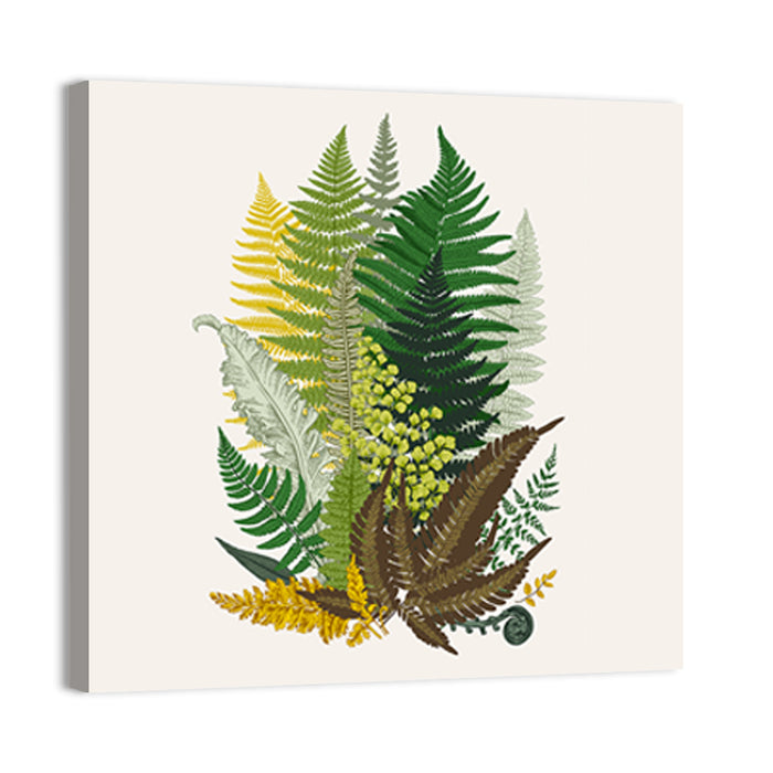Fern Composition Wall Art as a canvas print