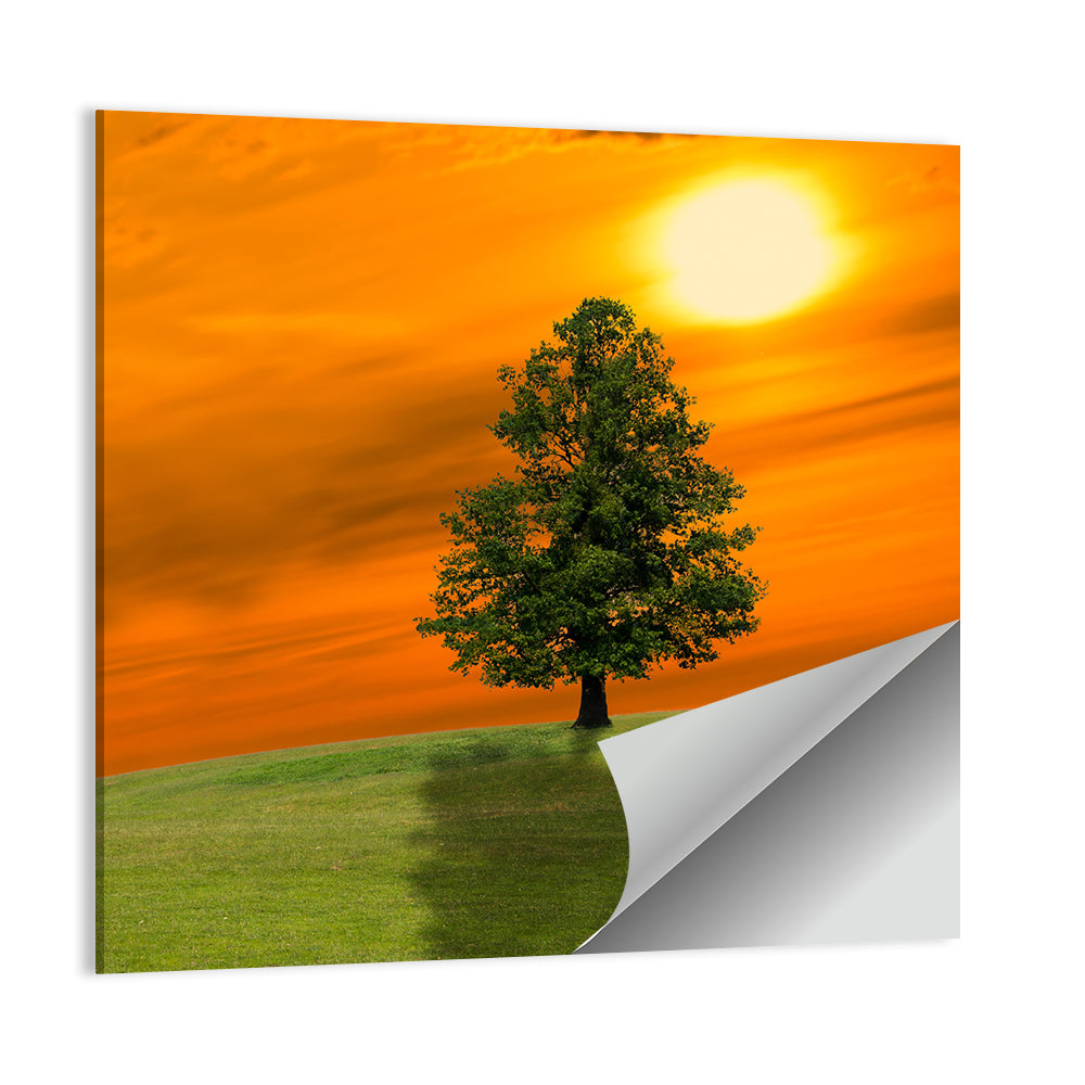 Lonely Tree on Green Hill at Sunset Wall Art