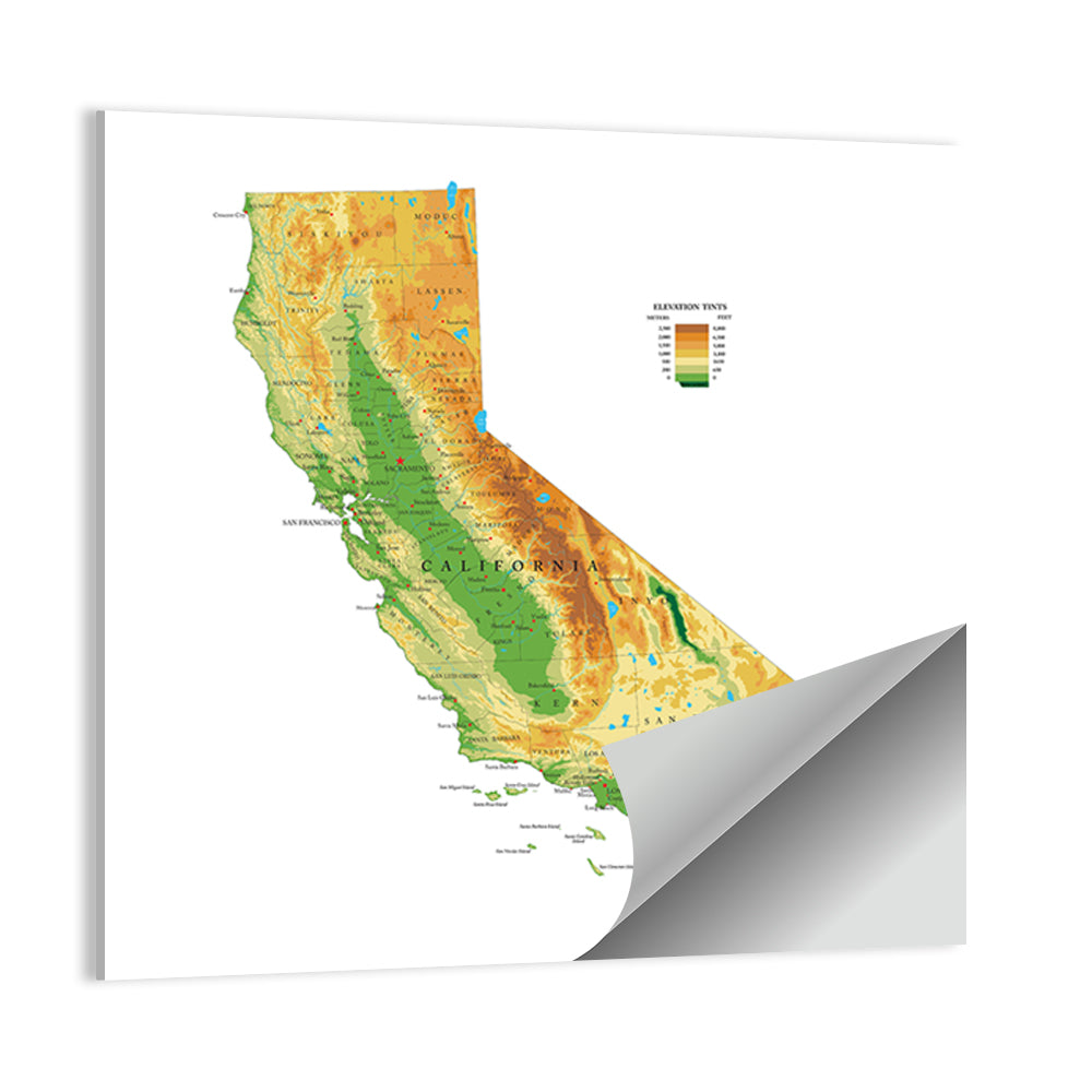 California Topographic Map Wall Art