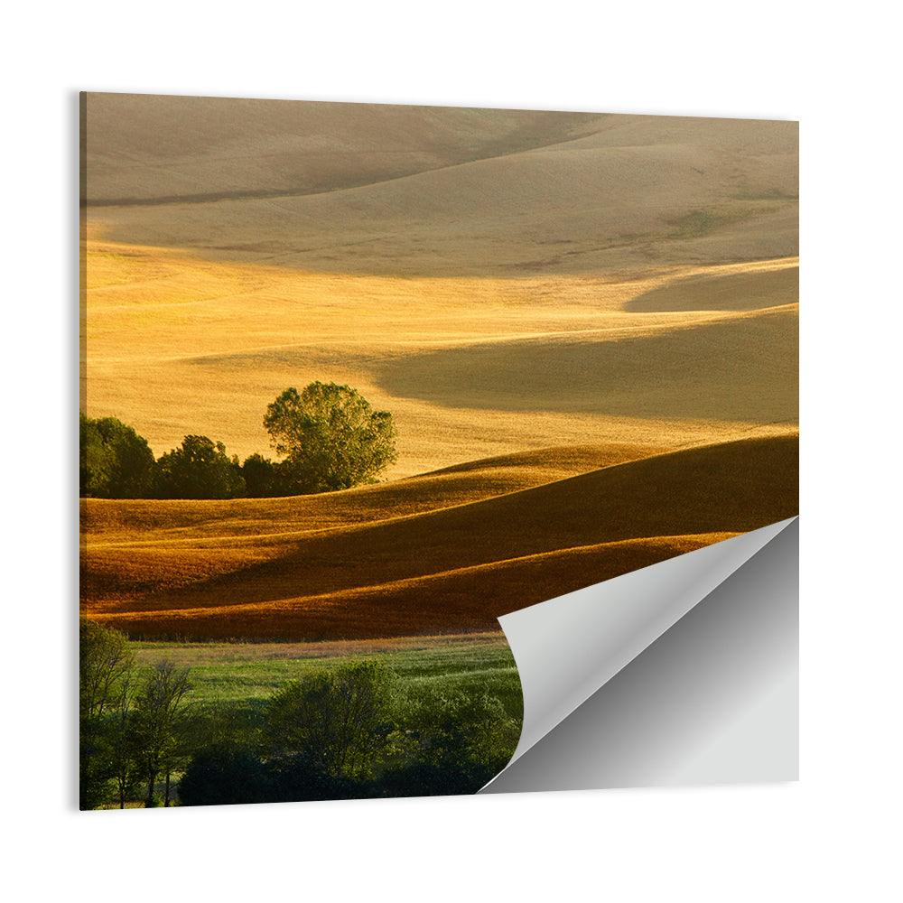 Golden Hills of Tuscany Wall Art