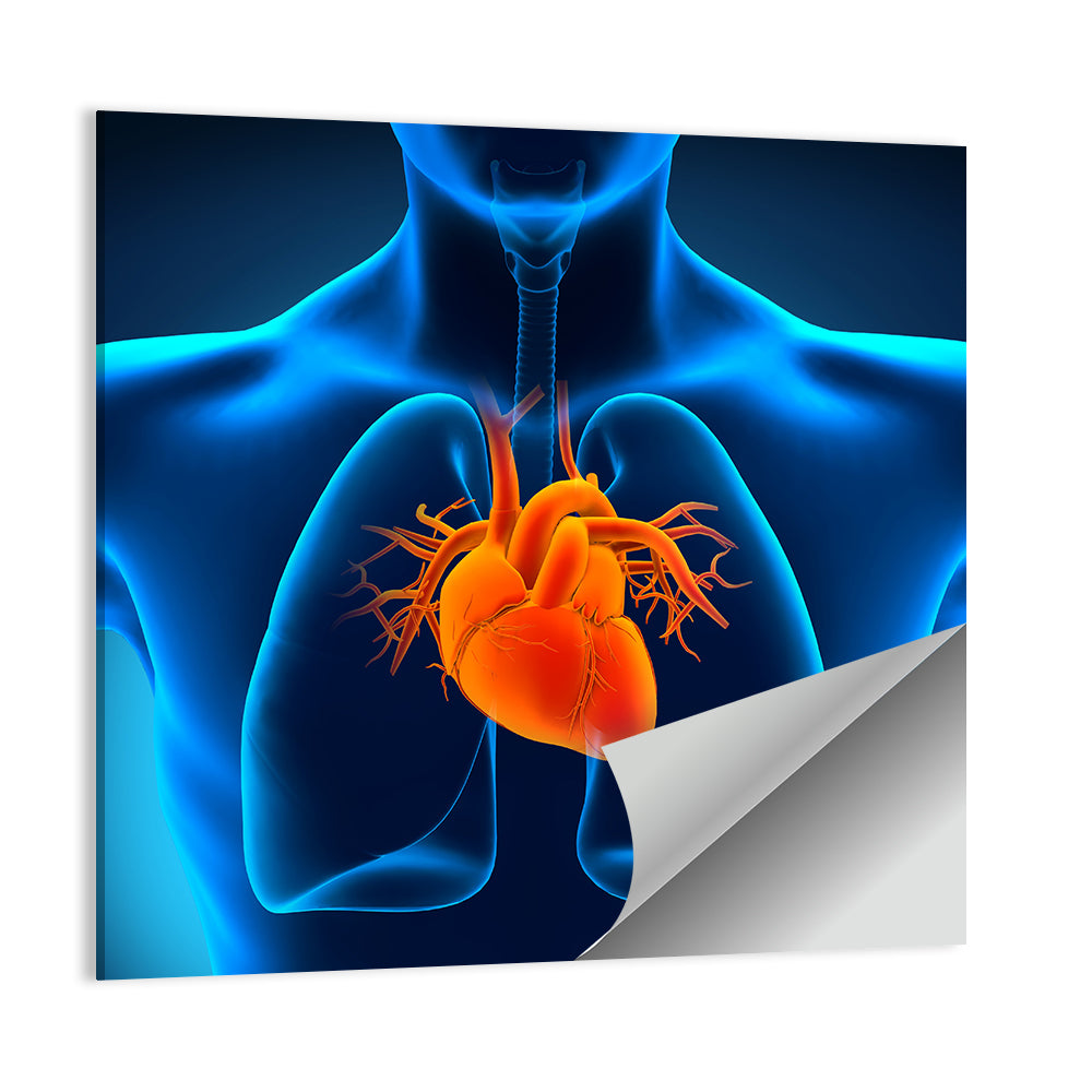 Glowing Heart Anatomy Illustration Wall Art