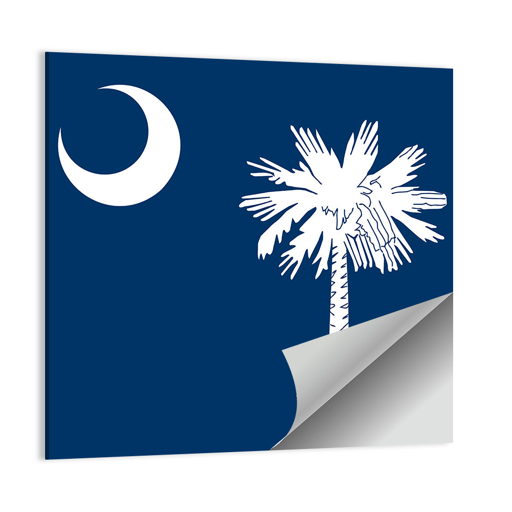 South Carolina Flag Graphic Wall Art