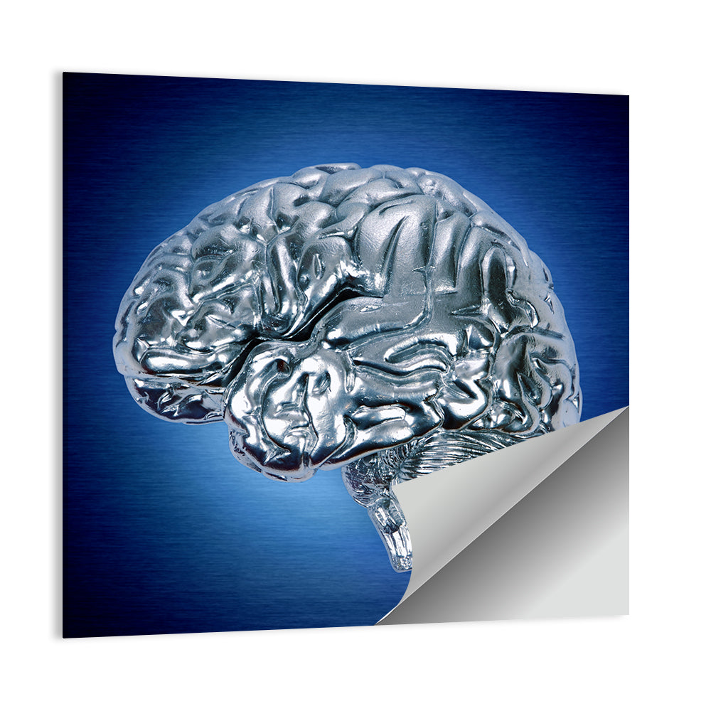 Chrome Brain Side Profile Wall Art