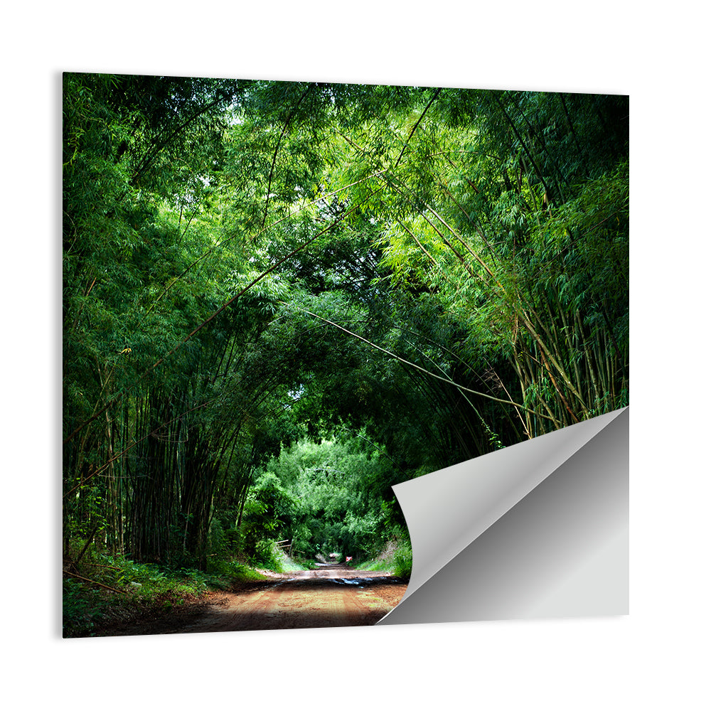 Bamboo Road in Kyoto Wall Art