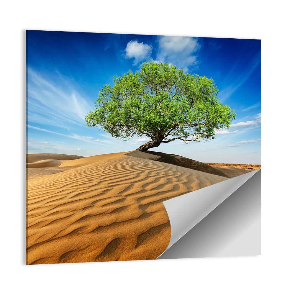 Solitary Green Tree on Sand Dune Wall Art