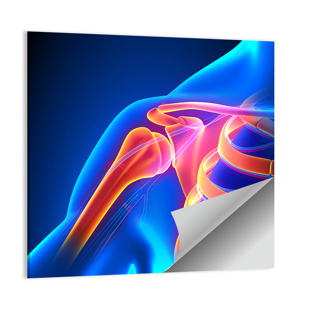 Shoulder Pain Anatomy Study Wall Art