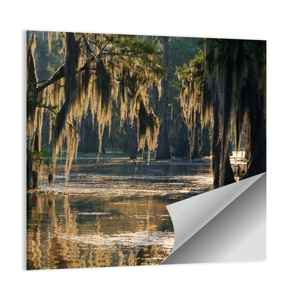 Spanish Moss in Louisiana Bayou Wall Art