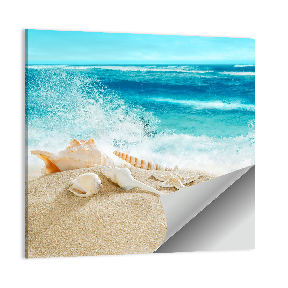Seashells and Splashing Waves Wall Art