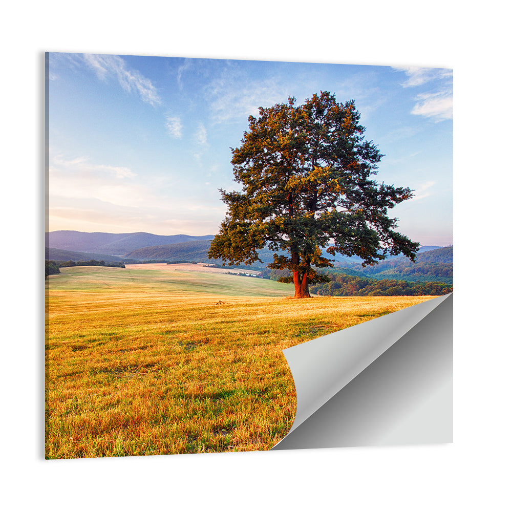 Golden Hour Meadow with Lone Tree Wall Art