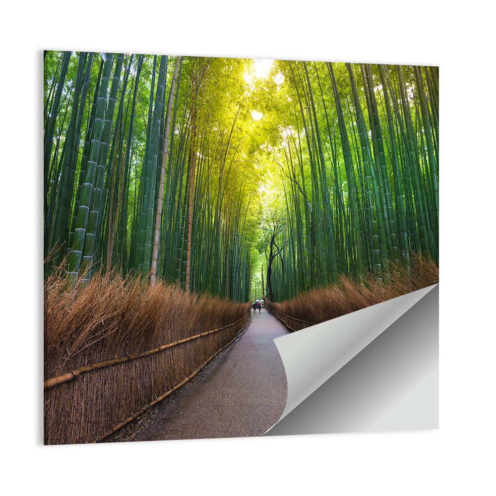 Kyoto Bamboo Forest Wall Art