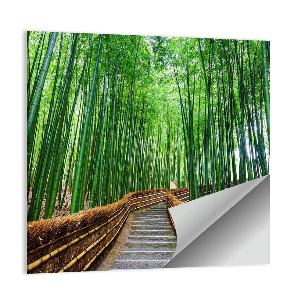 Stone Steps in Kyoto Bamboo Forest Wall Art