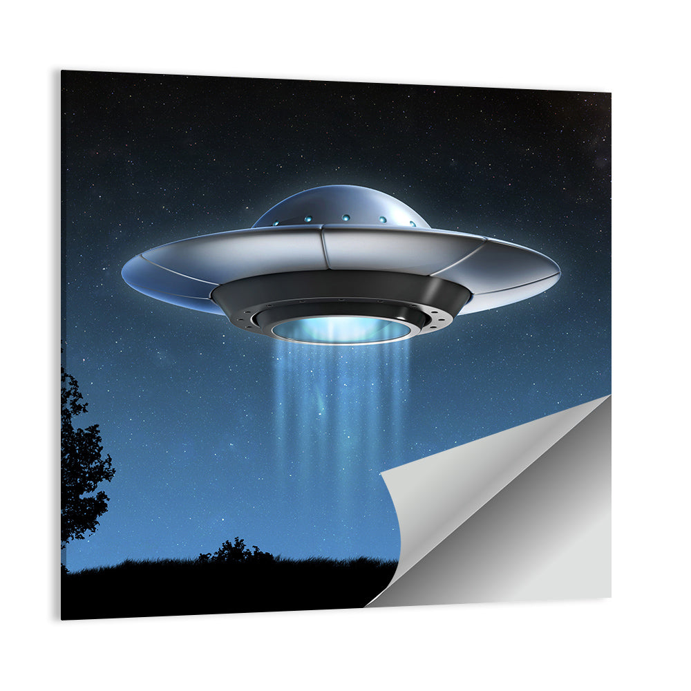 Ufo Over Silhouetted Grassland Wall Art