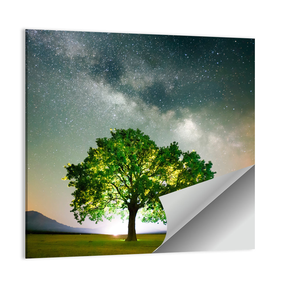 Lone Tree Under Milky Way Wall Art