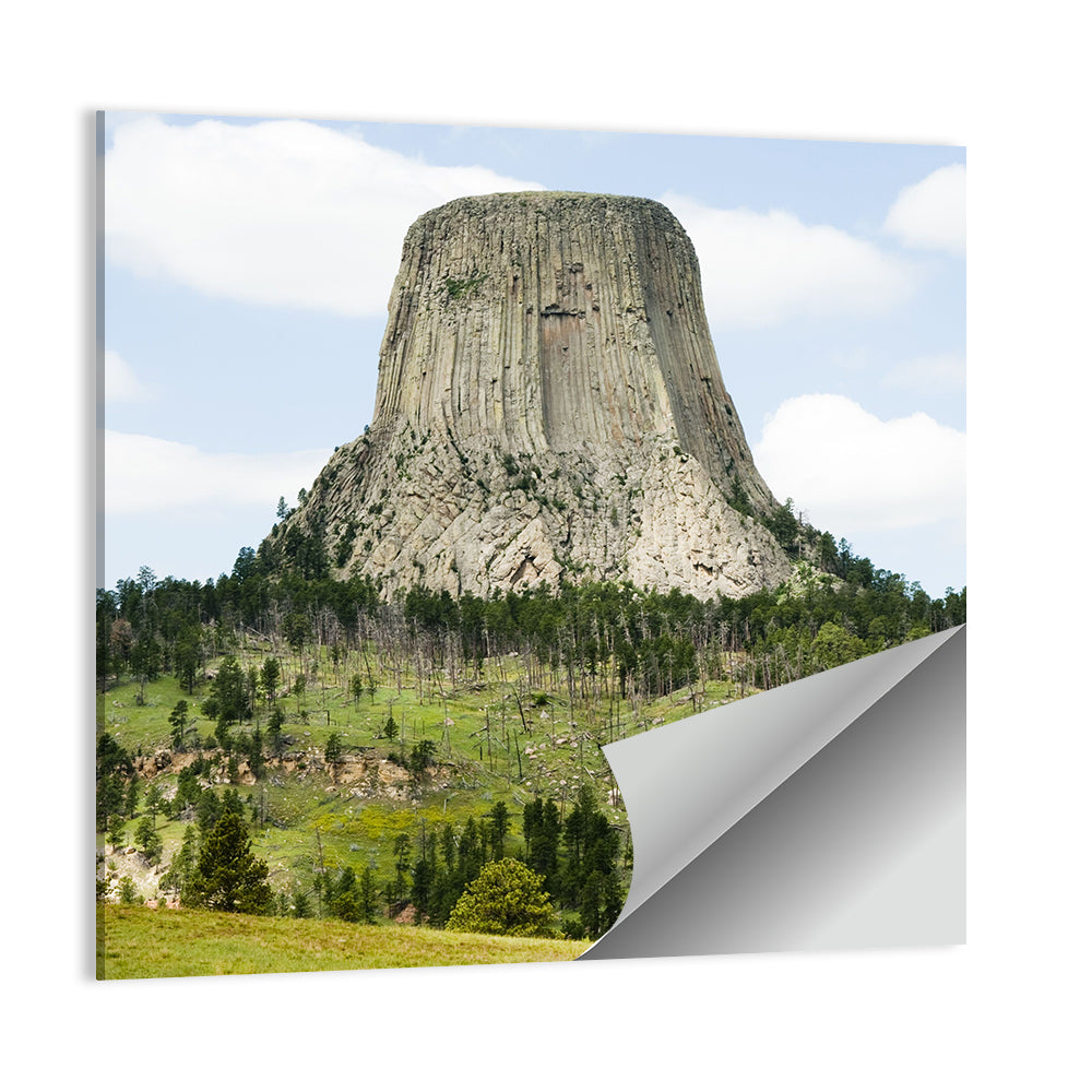 Devils Tower Columnar Monolith Wall Art