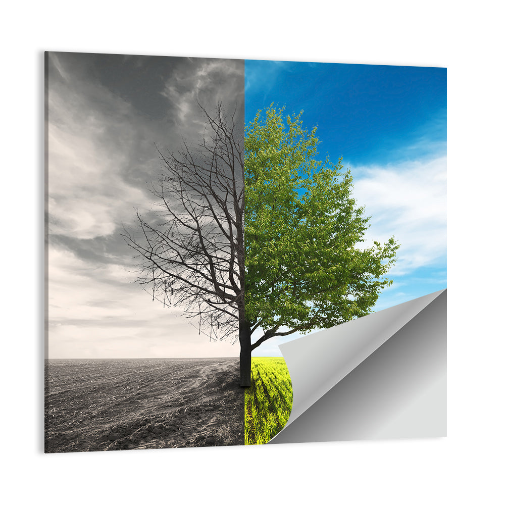 Split Tree in Field Wall Art