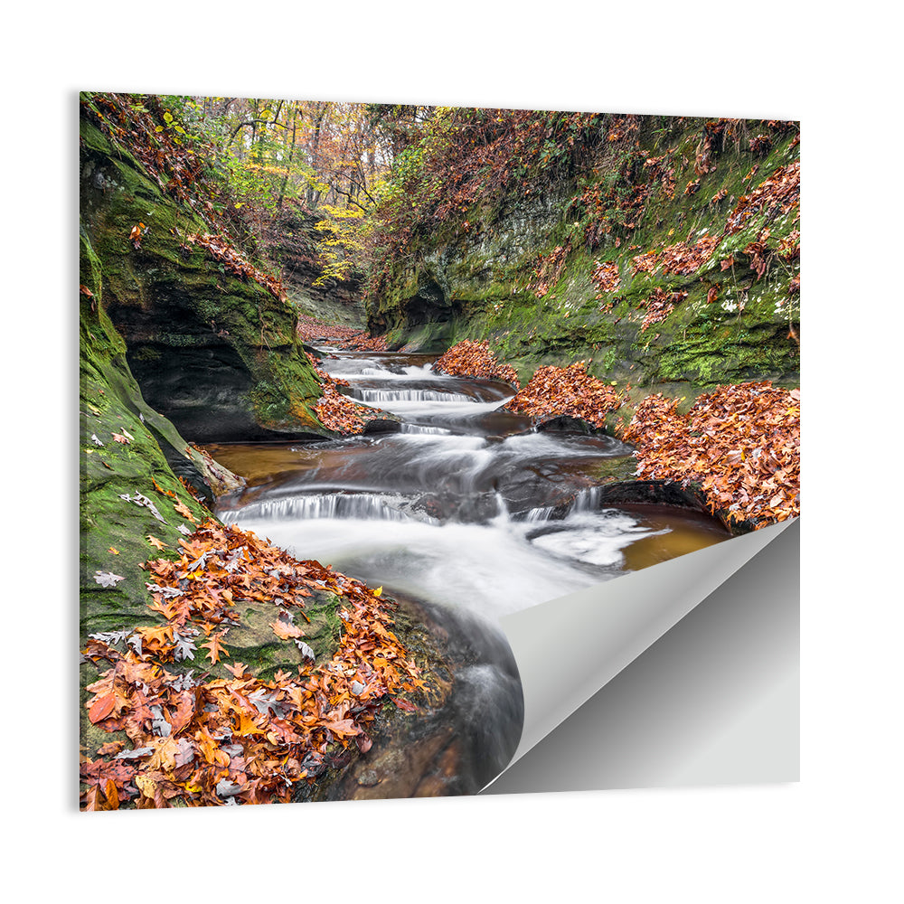 Warren County Autumn Cascades Wall Art
