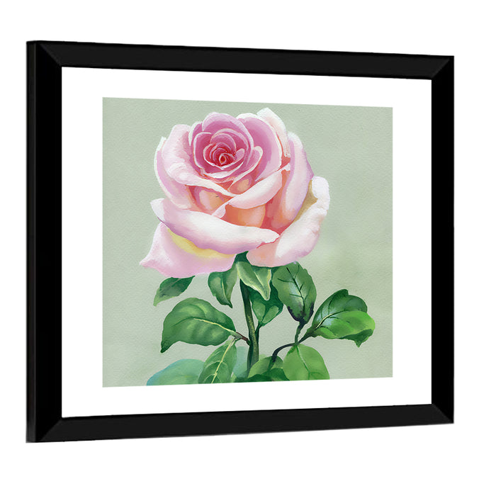 Pink Watercolor Rose Wall Art as a framed print