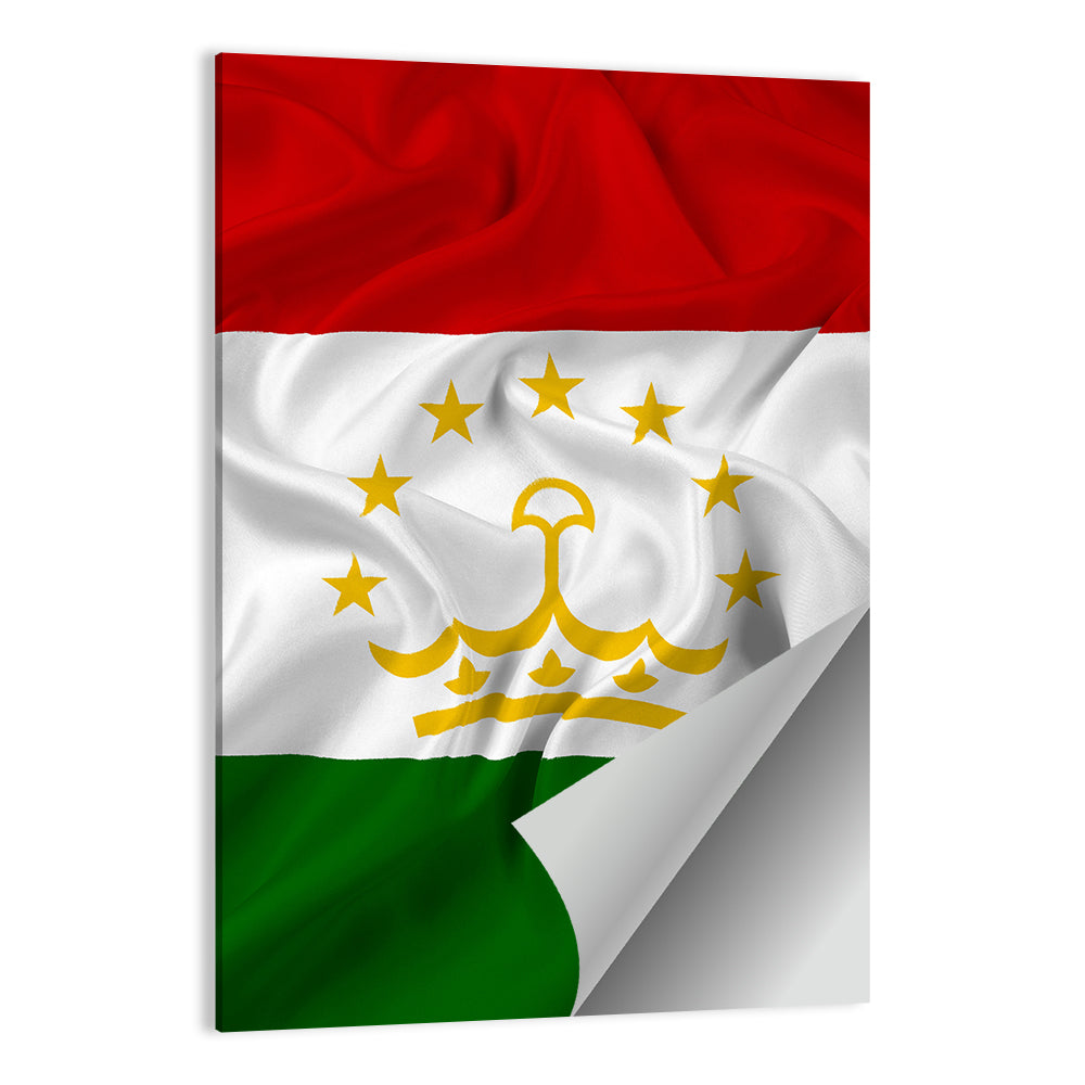 Tajikistan Flag with Crown Emblem Wall Art