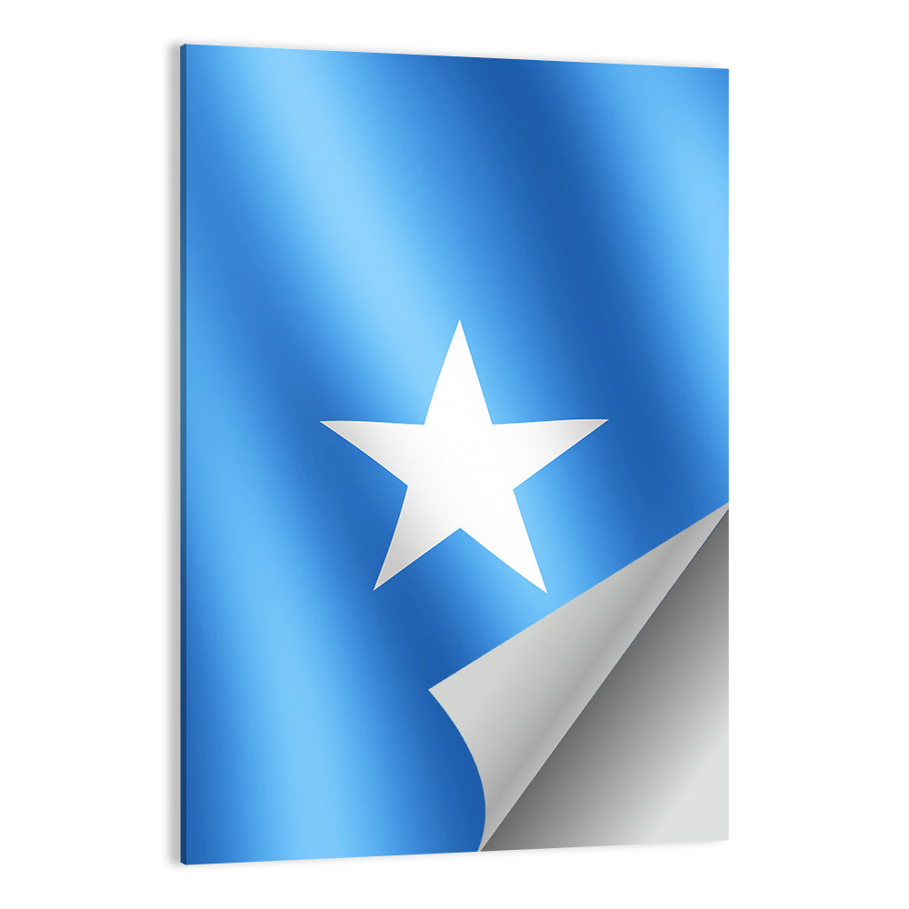 Somalia Flag with Five-pointed Star Wall Art