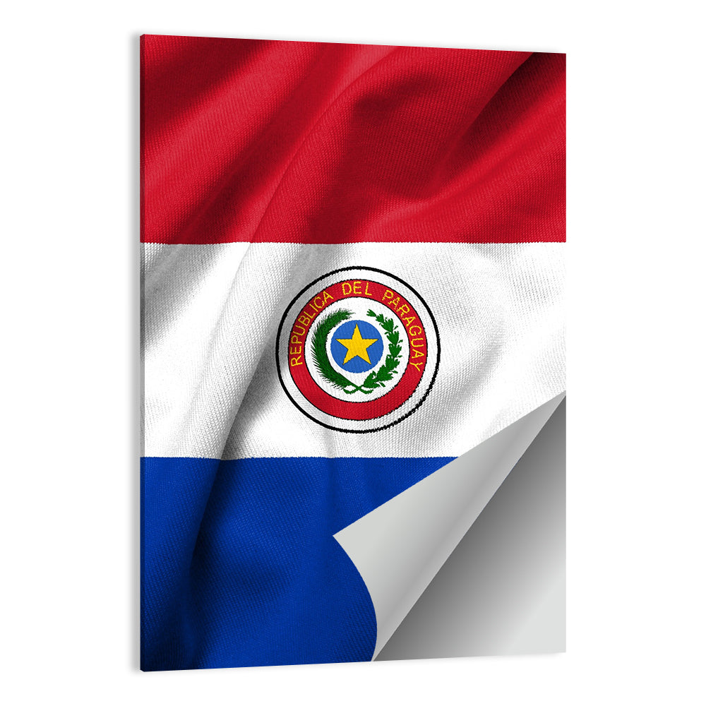 Paraguay Flag with Emblem Wall Art
