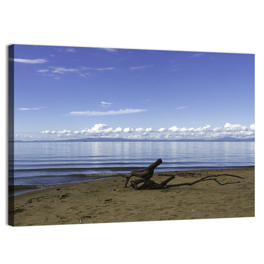 Shallow Lake Khanka Wall Art, canvas print, landscape