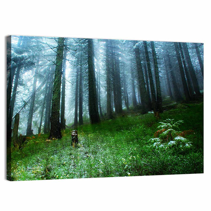 Misty Green Pine Forest Wall Art as a canvas print