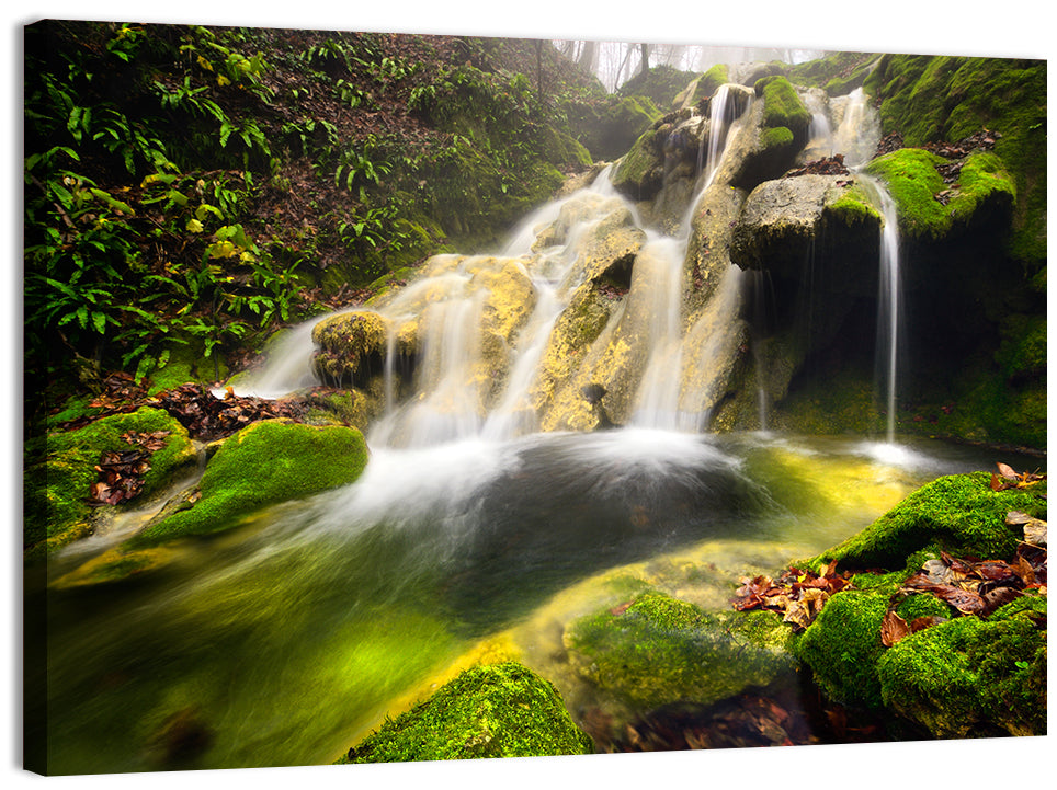 Cheile Nerei Mossy Waterfall Wall Art, canvas print, landscape