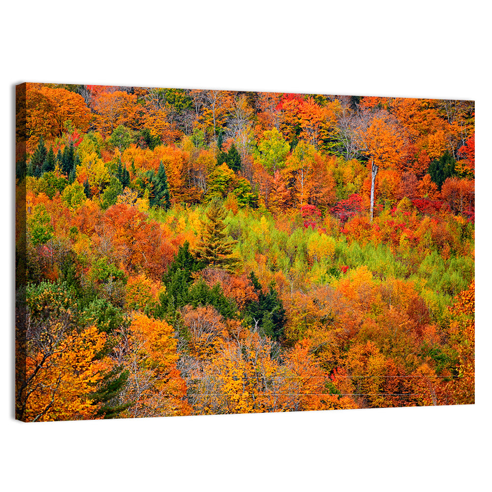 Vermont Autumn Mountain Forest Wall Art, canvas print, landscape