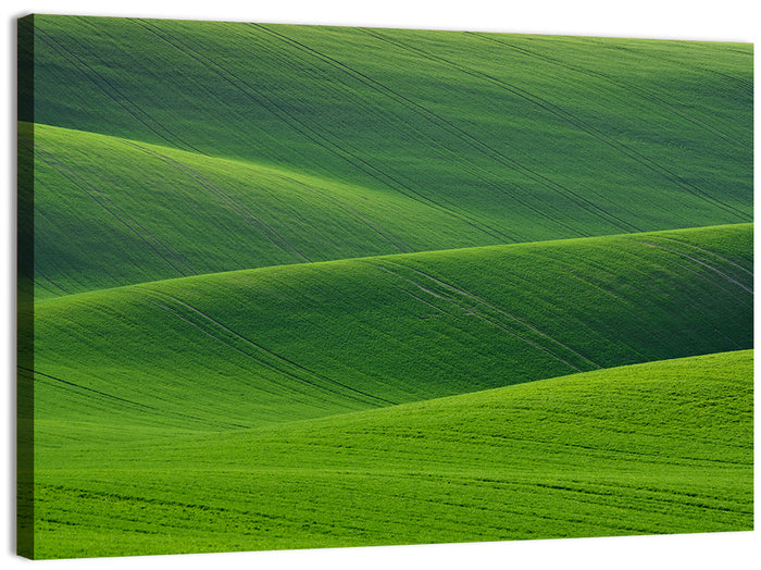 Rolling Emerald Wheat Fields Wall Art as a canvas print