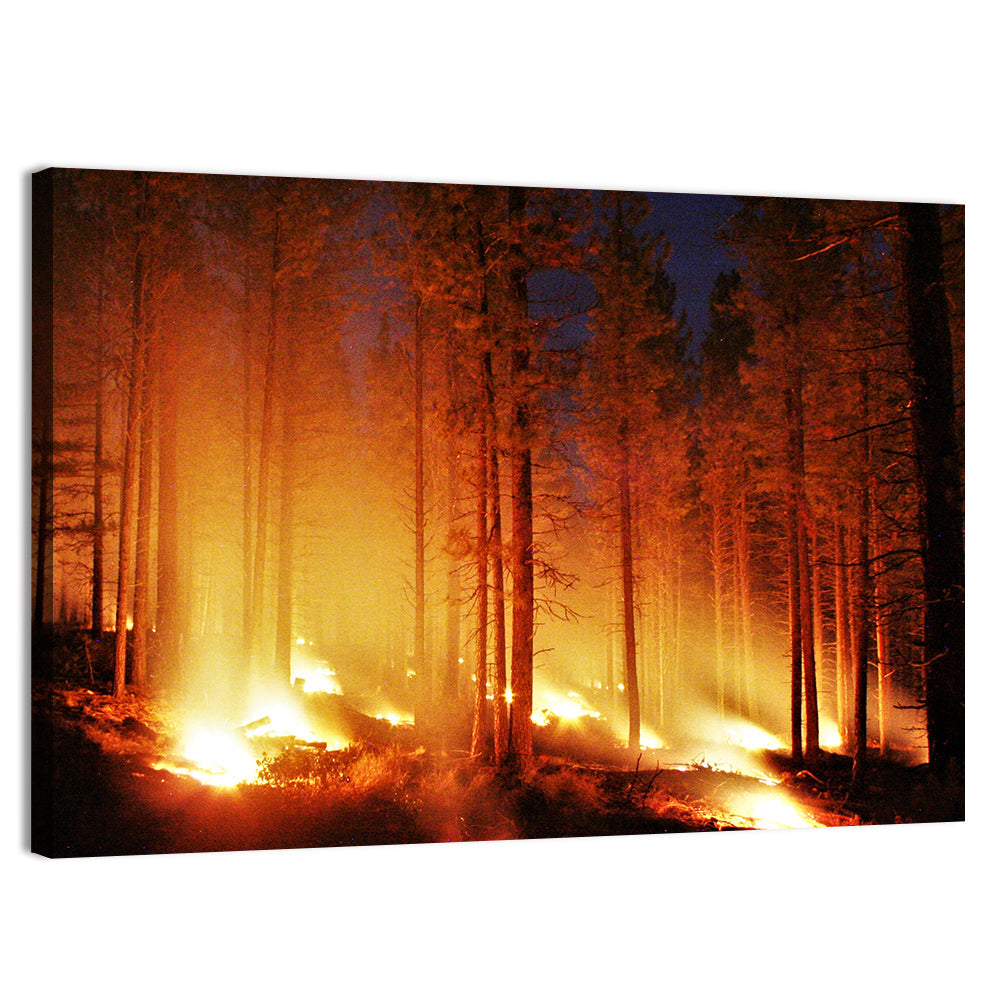 Night Forest Fire Wall Art, canvas print, landscape