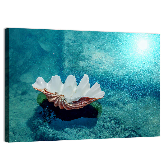 Giant Clam Shell Wall Art as a canvas print