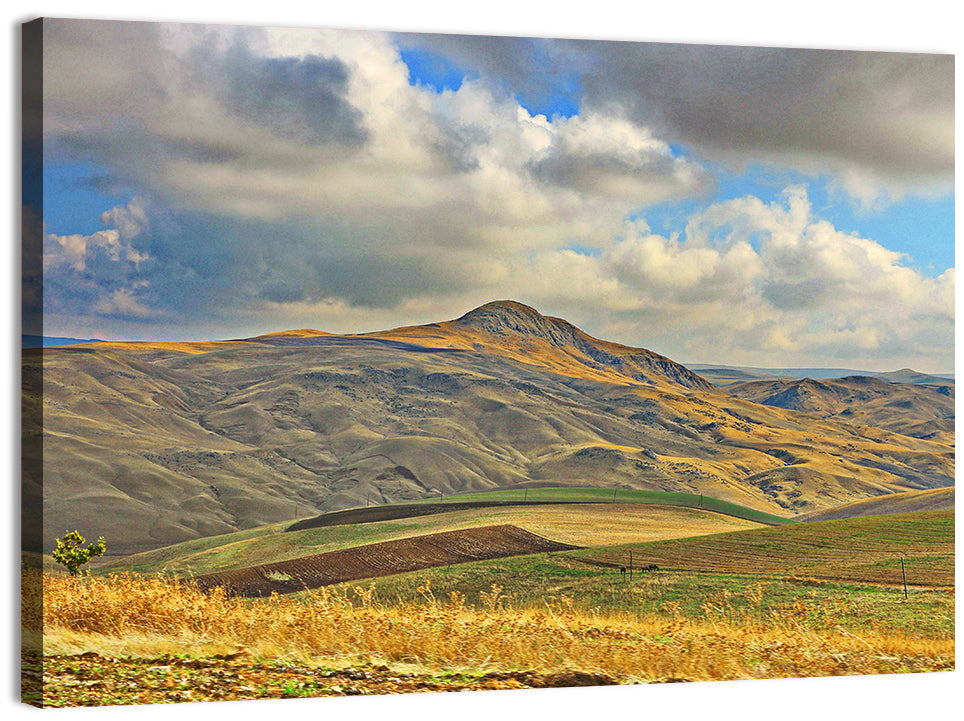 Shamakhi Valley Harvest Fields Wall Art, canvas print, landscape