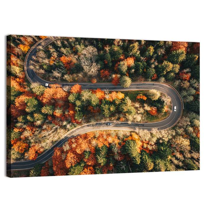 Aerial Winding Autumn Forest Road Wall Art as a canvas print