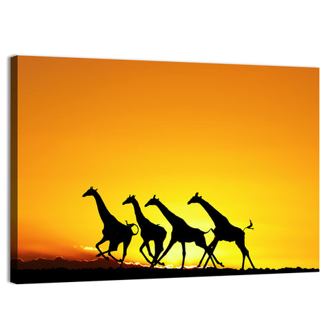 Savanna Giraffes at Sunset Wall Art