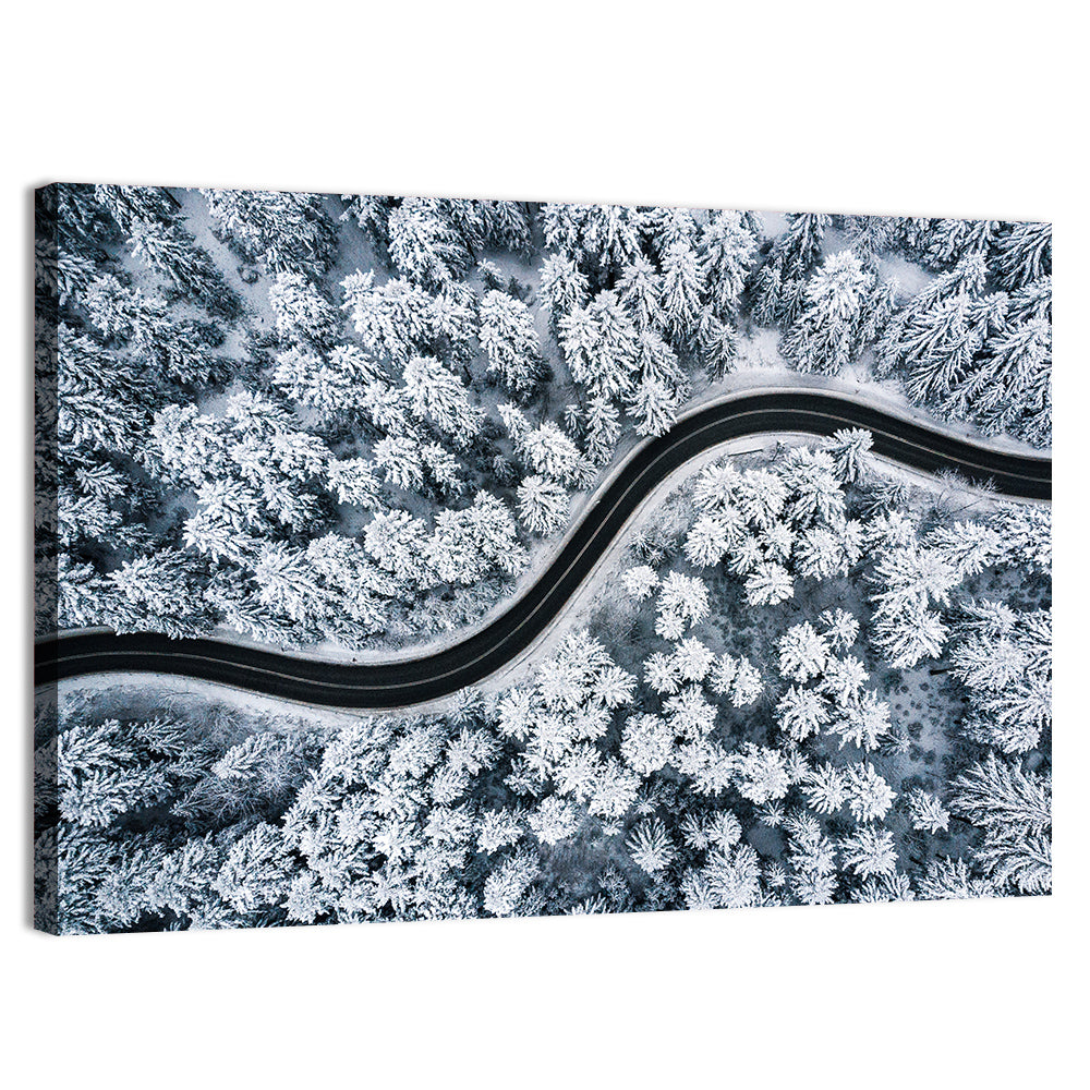 S-curve Winter Forest Road Wall Art, canvas print, landscape