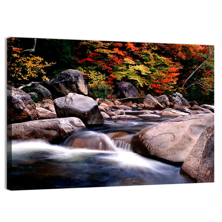 New Hampshire Autumn Stream Wall Art