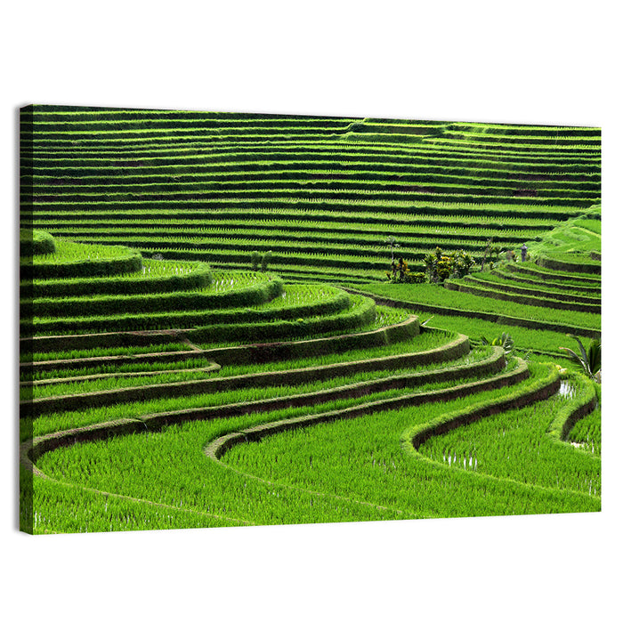 Lush Rice Terraces Wall Art as a canvas print