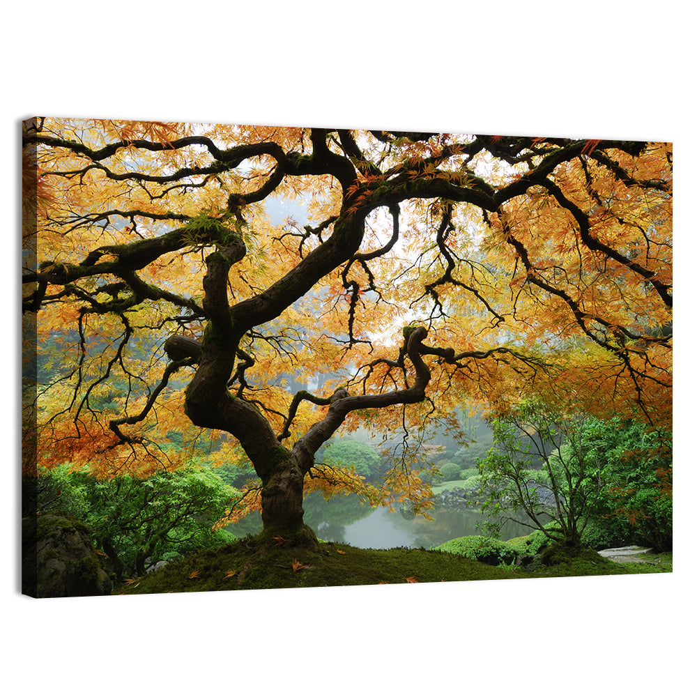 Japanese Autumn Maple Wall Art, canvas print, landscape