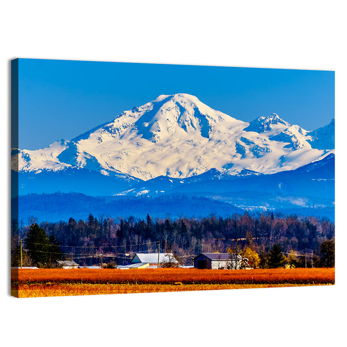 Mount Baker Fields Wall Art as a canvas print
