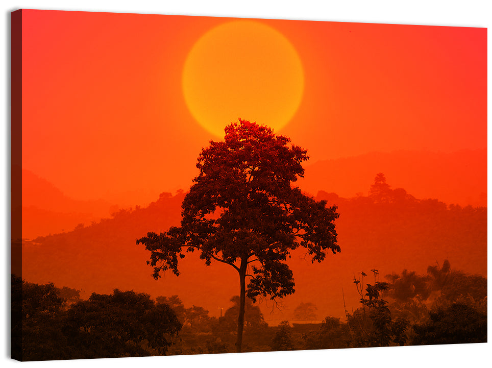 African Summer Sunset Wall Art, canvas print, landscape