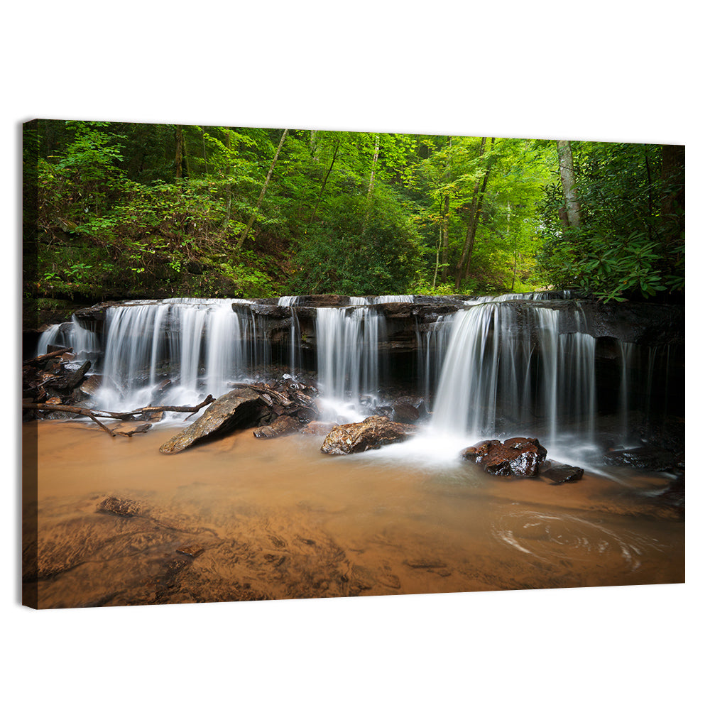 Lush Green Forest Waterfall Wall Art, canvas print, landscape