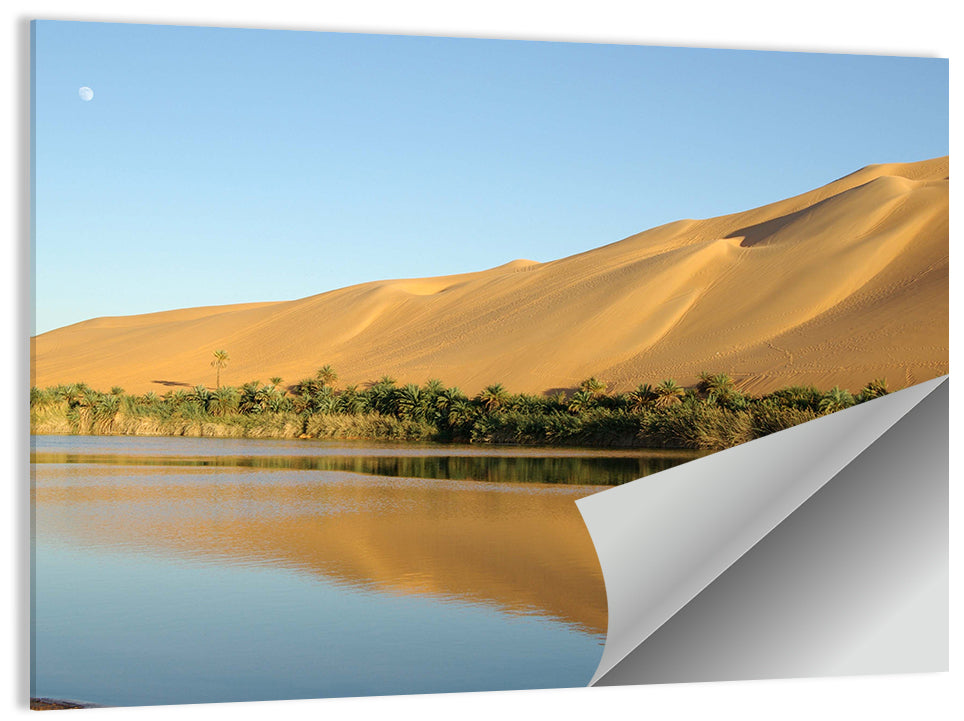 Desert Oasis Reflection Wall Art