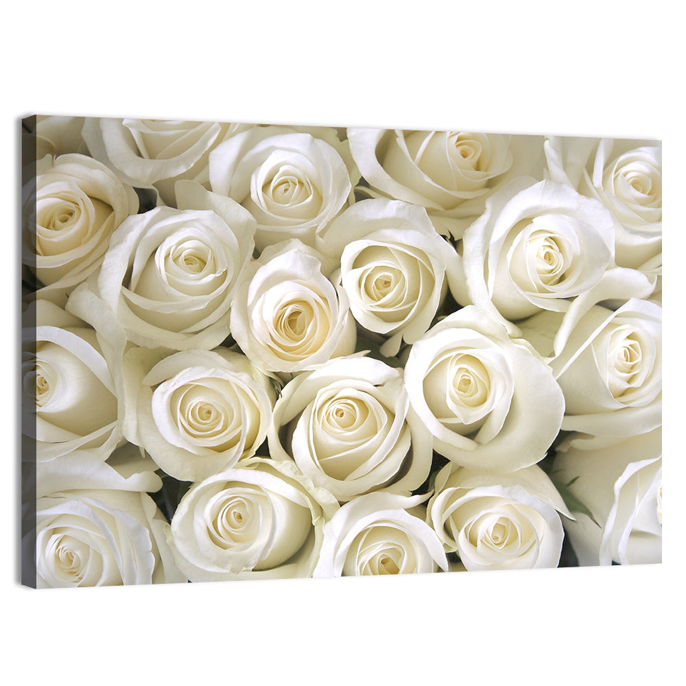 Silky Roses Wall Art, canvas print, landscape