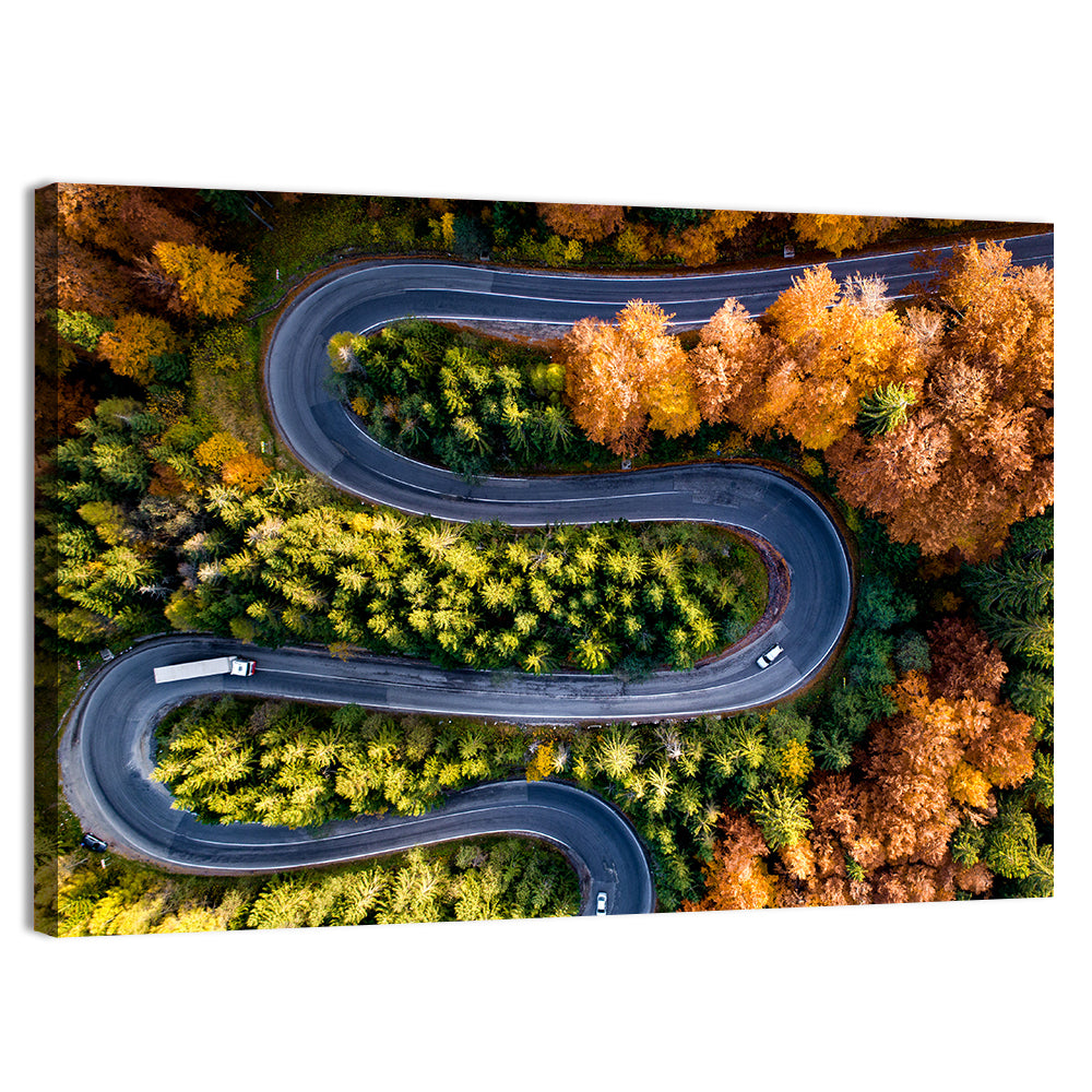Serpentine Forest Road Wall Art, canvas print, landscape