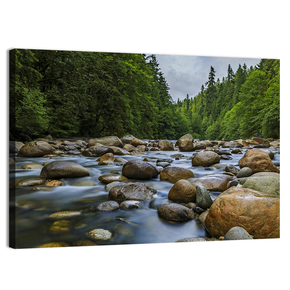 Lynn Canyon Riverbed Forest Wall Art, canvas print, landscape